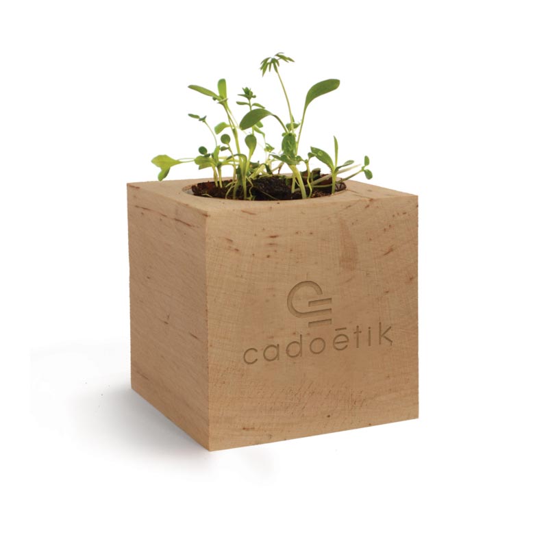 Plante personnalisée - Cadeau client - Cube en bois à graines