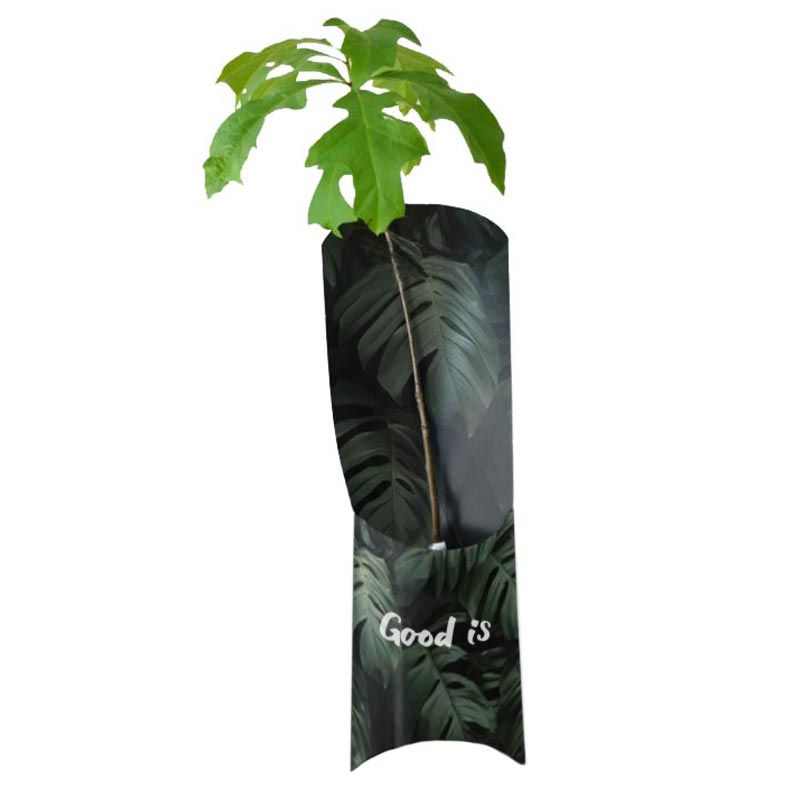 L'étui plant d'arbre publicitaire Standard - Fourreau personnalisable