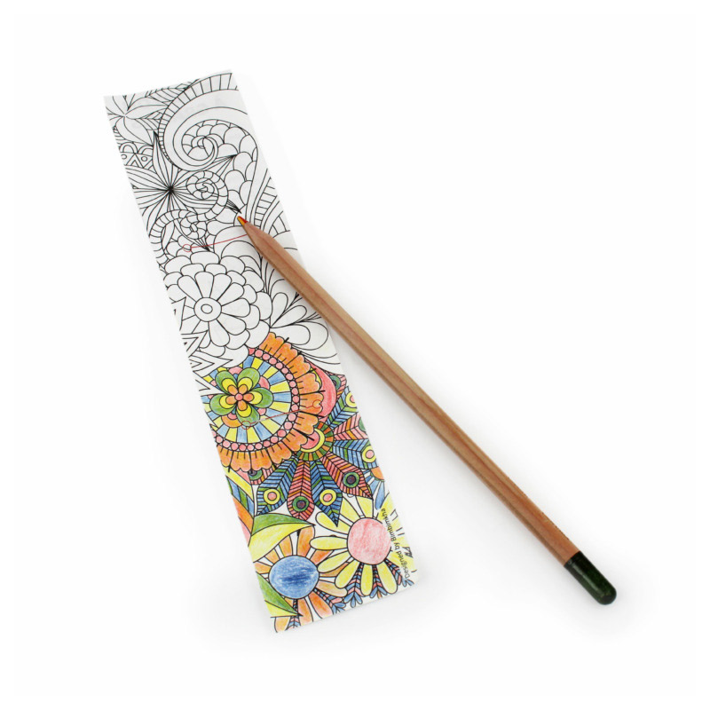 Crayon à planter multicolore avec fourreau à colorier_3