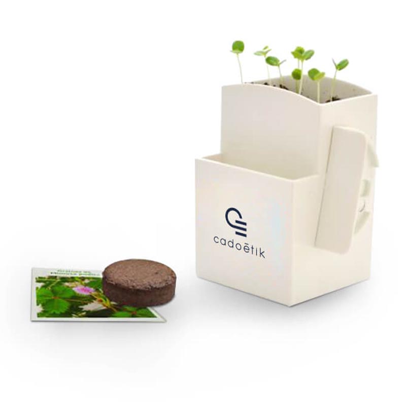 La Végétal-Box Kit graines - Cadeau d'entreprise écologique