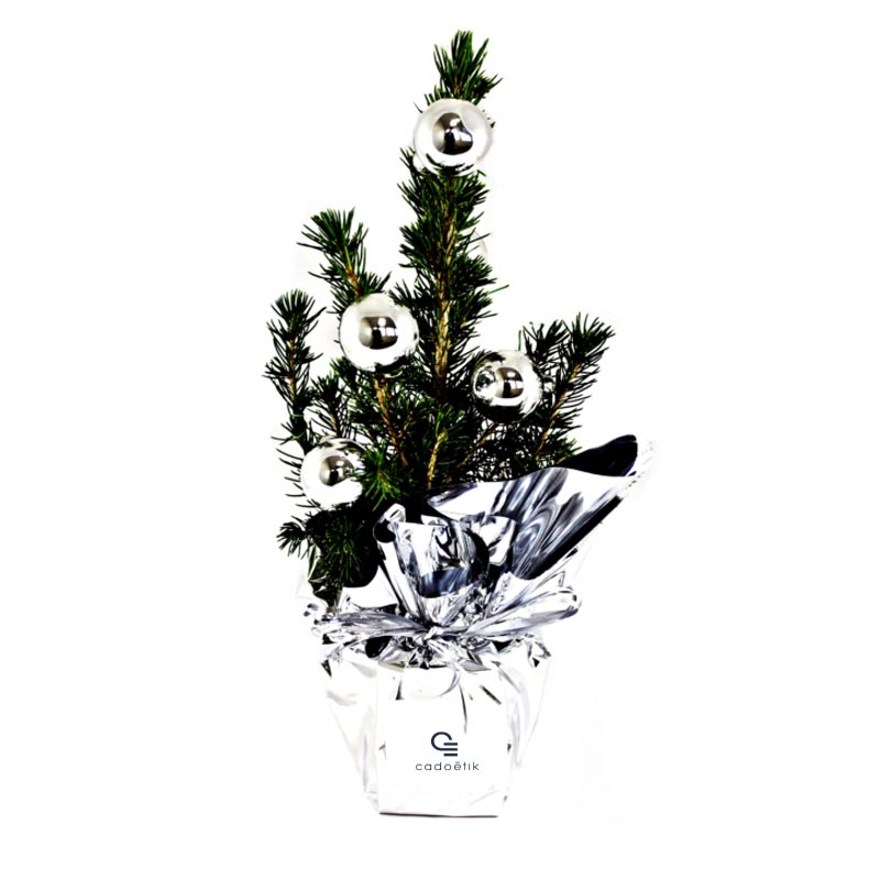 Plante personnalisée - Mini arbre publicitaire en pot sapin de Noël