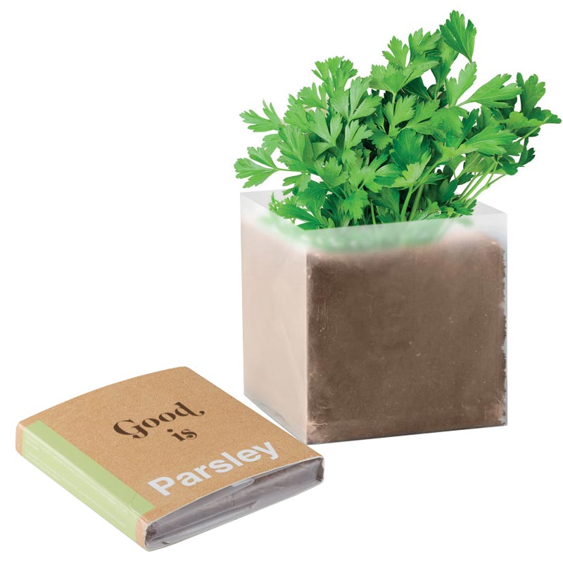 cadeau publicitaire végétal - Substrat avec graines publicitaires Persil PARSELY