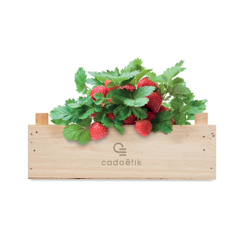 Kit de plantation de fraises dans cagette en bois Strawberry_1