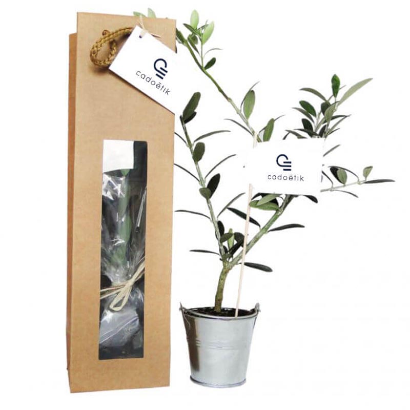 Plant arbre en sac kraft fenêtre Prestige - Cadeau entreprise séminaire