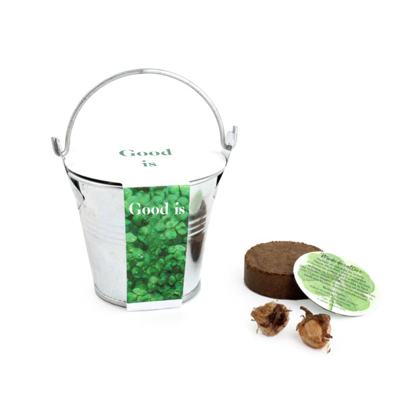 Cadeau publicitaire végétal - Kit de semis publicitaire - mini pot zinc 6cm