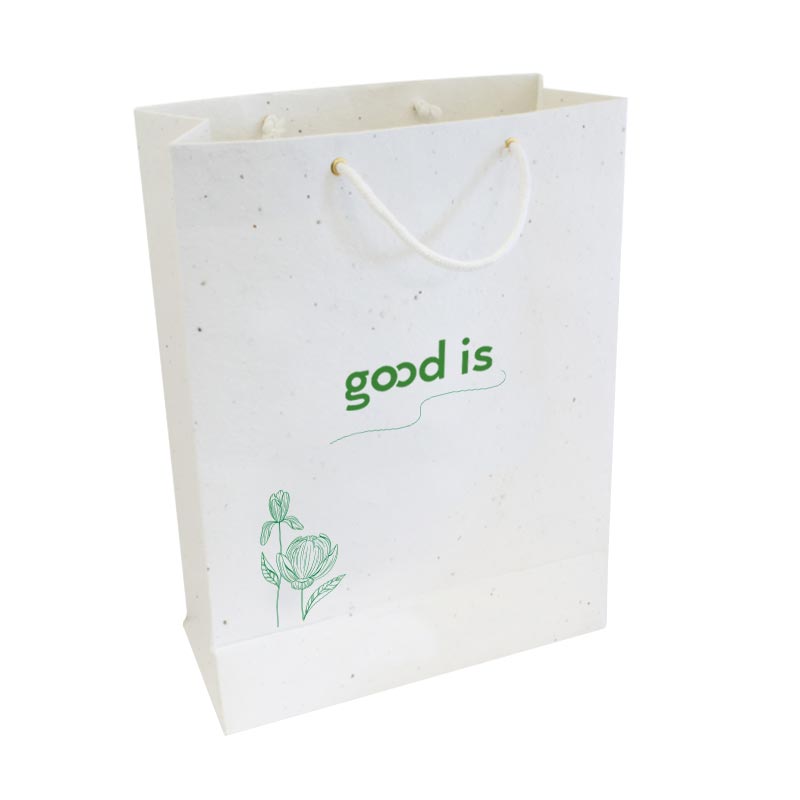Sac de papier ou sac de plastique compostable… lequel choisir pour