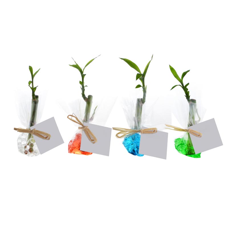 Bambou d'eau en papier fleuriste