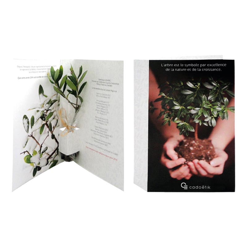 Plante publicitaire - La plante postale Bambou,Olivier, Eucalyptus