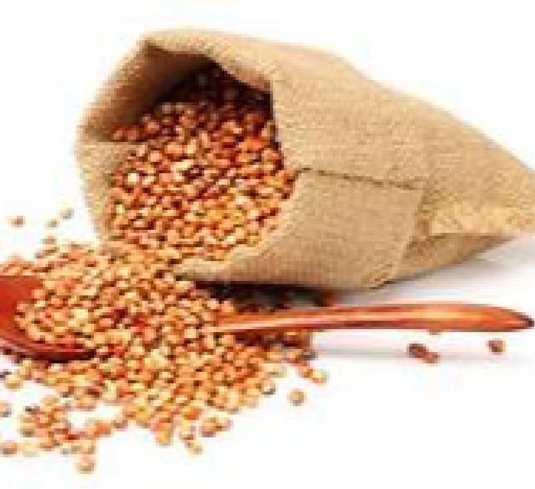 Vente en gros de céréales Sorgho bio certifié made in Sénégal  — photo de l'annonce (Sénégal)