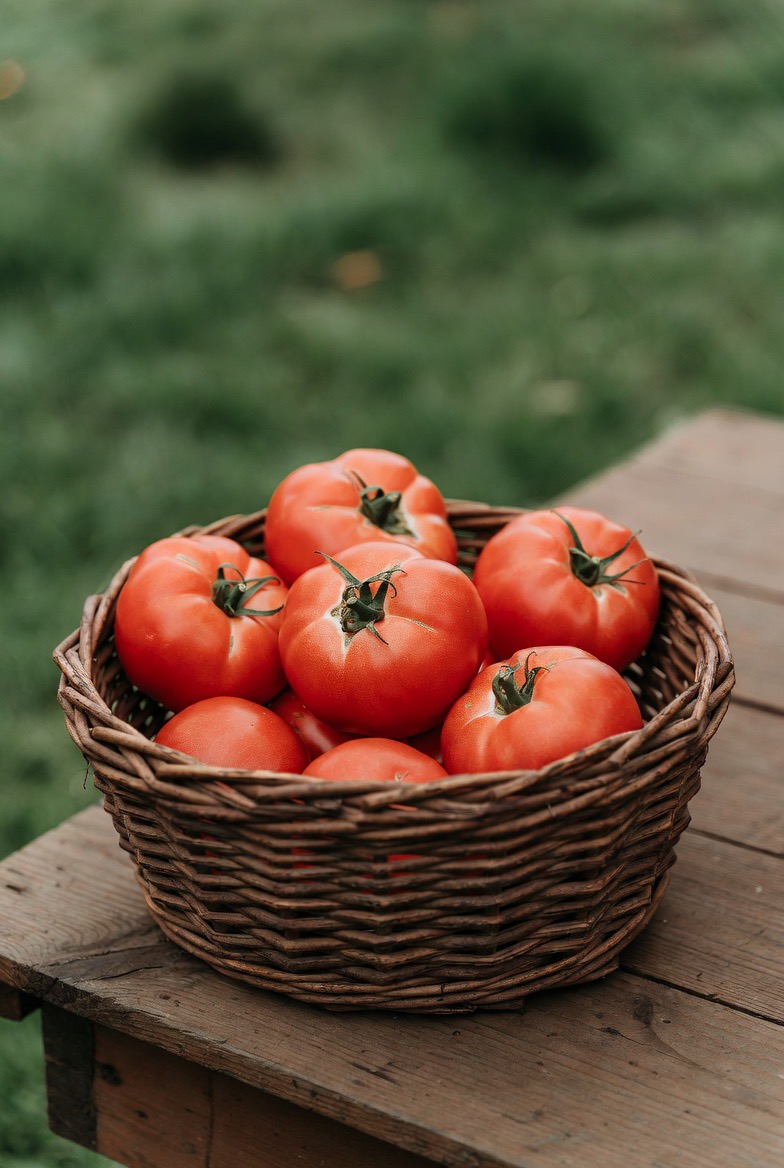 Tomates — photo de l'annonce (Sénégal)