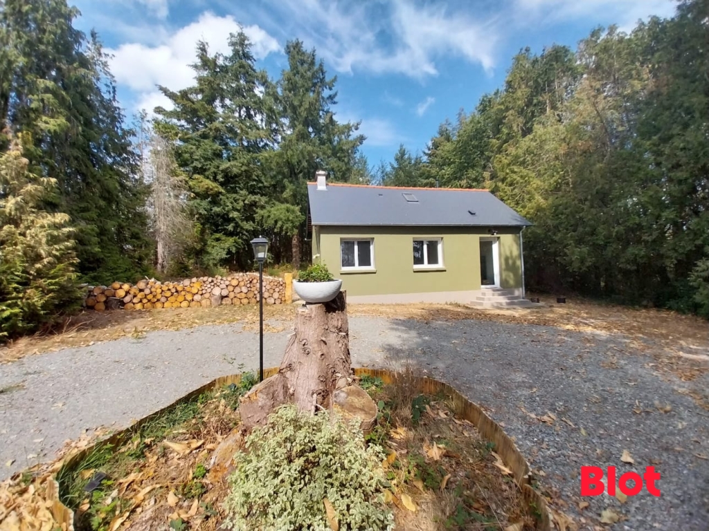 A VENDRE EN EXCLUSIVITE CHEZ BLOT VITRE - MAISON CAMPAGNE AVEC TERRAIN 2HA BALAZE