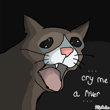 Crying cat pixel art - FlipAnim