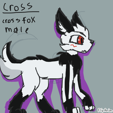 Cross sans - FlipAnim