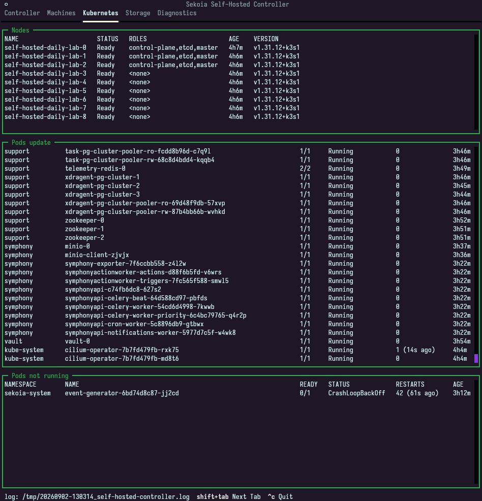 The Kubernetes tab showing nodes, continuously updated pods, and pods that are not running.