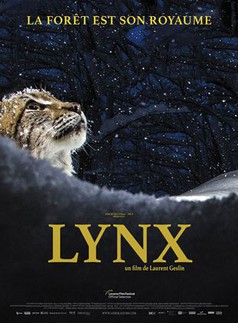 poster de Lynx