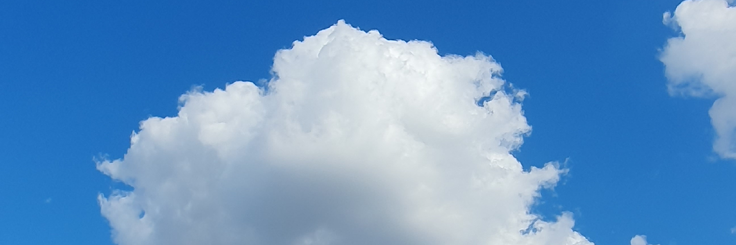 Header Image