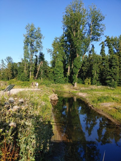 Blick auf den neuen Flusslauf, die Ufer grün bzw. voller Vegetation, zum Teil schon verblüht. Auf dem Pfad, der einen Blick auf den renaturierten Teil des Parks bietet, stehen Personen. Im Flur sorgen dich die Bäume im Hintergrund und der blaue Himmel. 

Looking down at the river in a very sunny day.