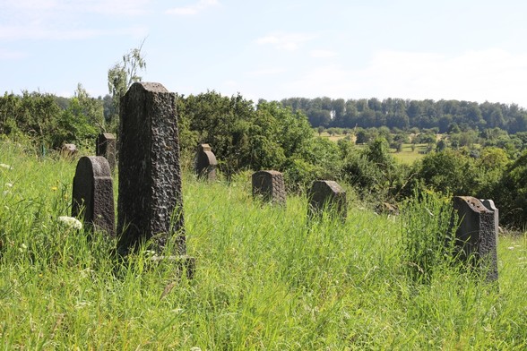 Jüdische Gräber auf einem Friedhof in hohem Gras