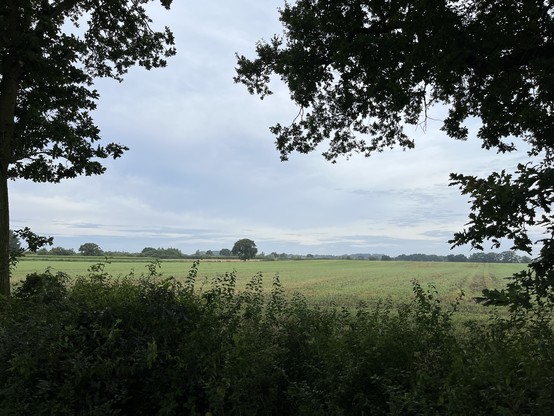 norddeutsche Morgenlandschaft