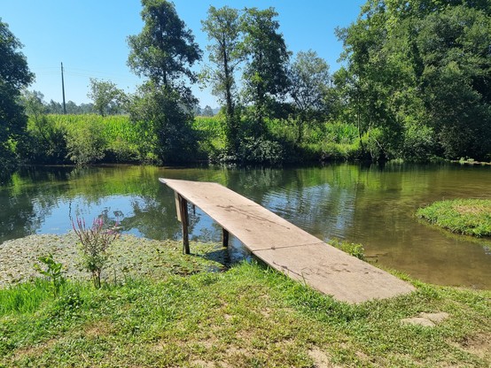 Badesee mit Sprungbrett