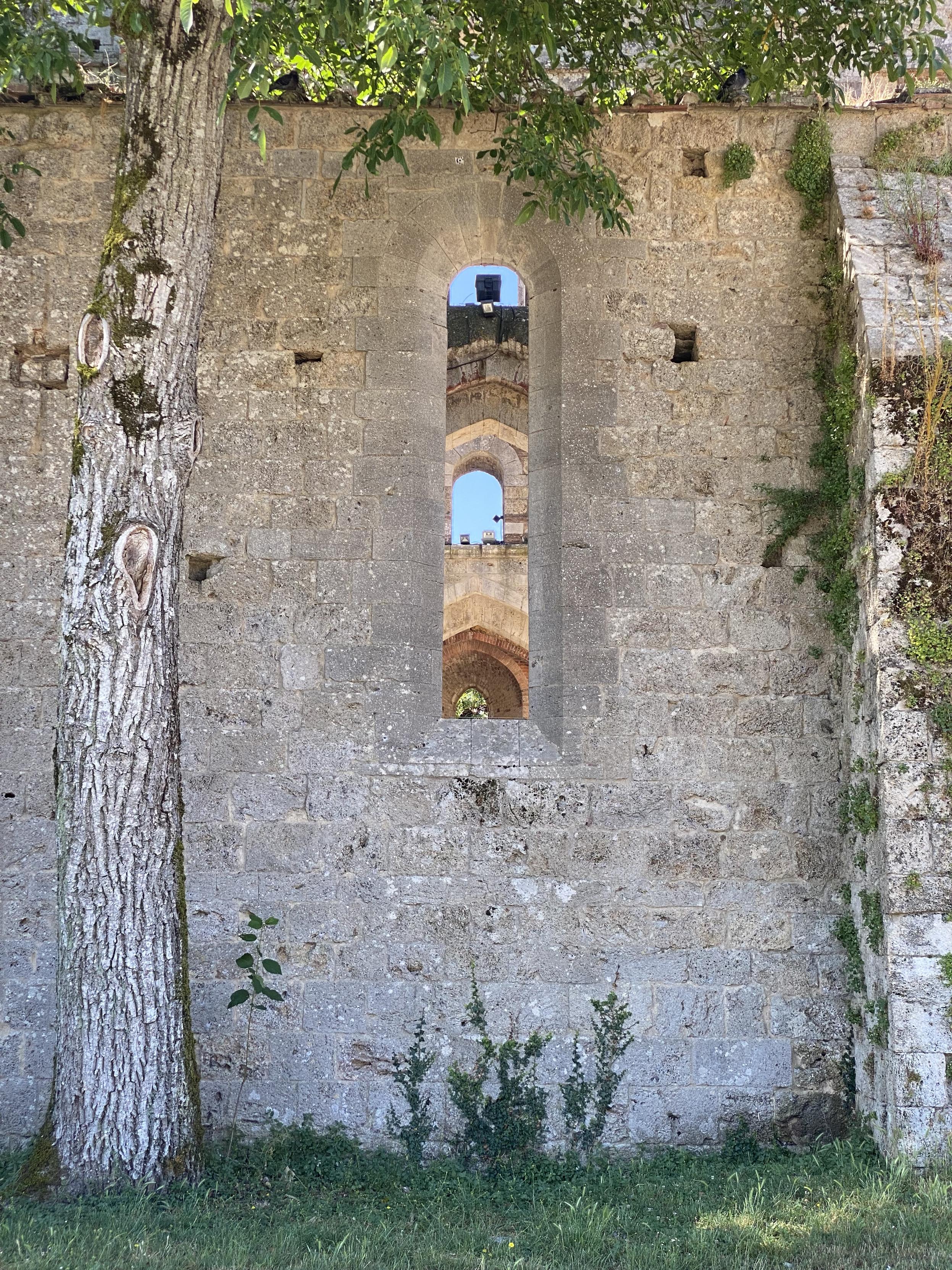 Fensteröffnung im Seitenschiff der Abtei San Galgano