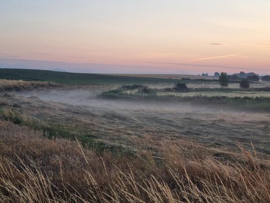 Nebel am Morgen
