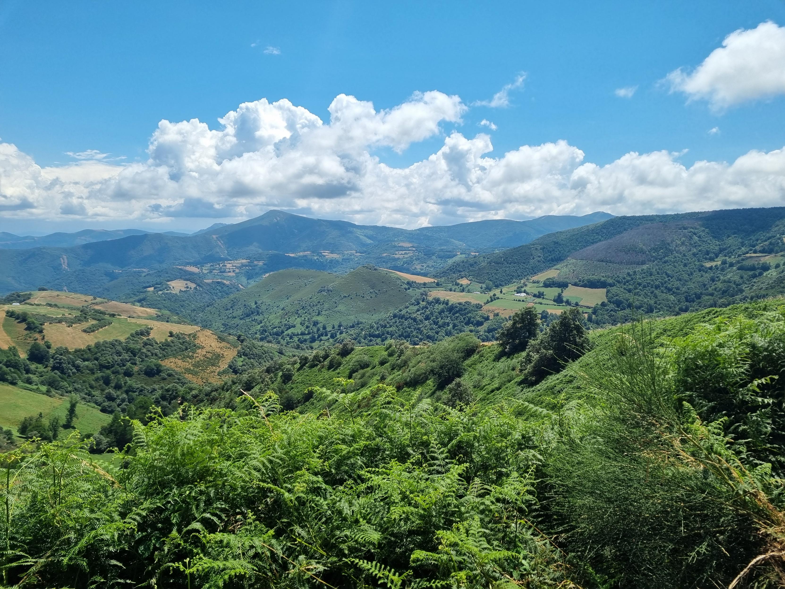 Aussicht