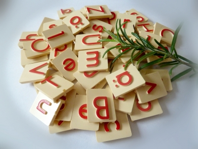 Haufen Buchstabenspielsteine mit Rosmarinzweig
Bildrechte: Petra Hegewald / pixelio