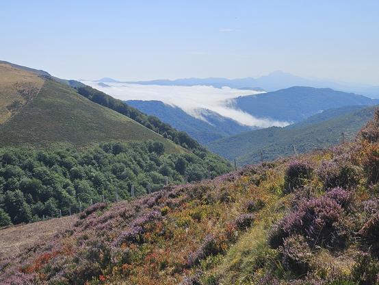 Nebel in den Bergen