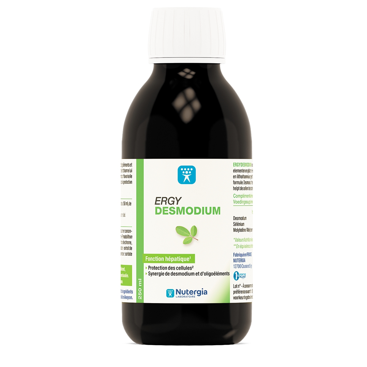ERGYDESMODIUM SOL BUV 250ML