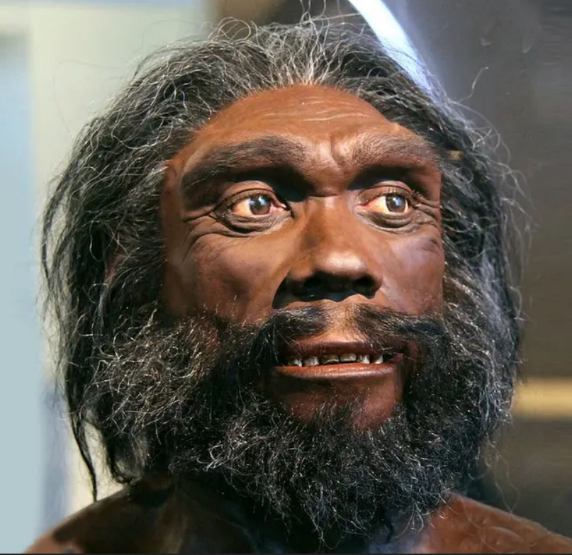 L’homme de Denisova