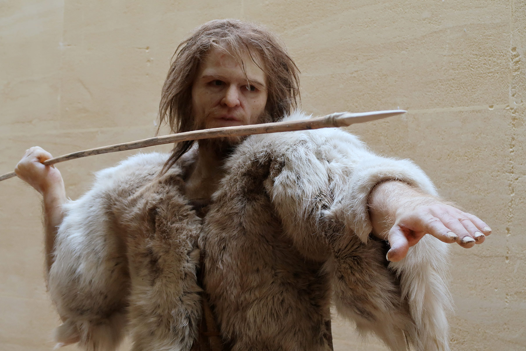 Cro-Magnon en train de chasser