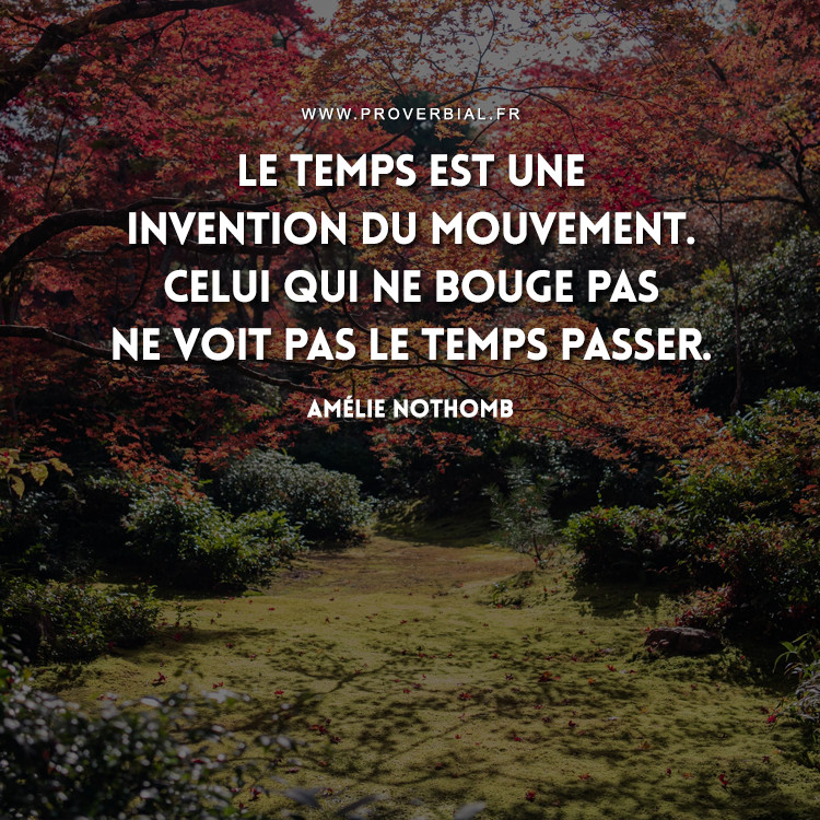 Citation de Amélie Nothomb