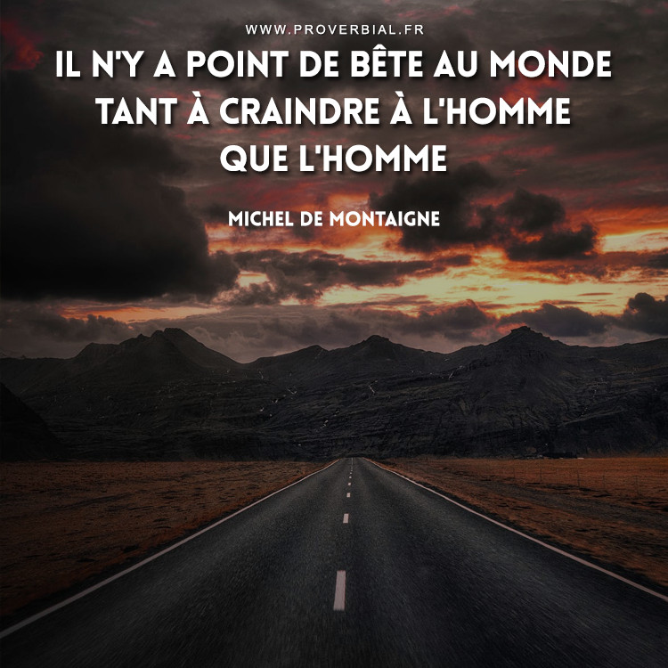 Citation de Michel De Montaigne