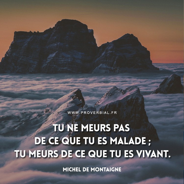 Citation de Michel De Montaigne