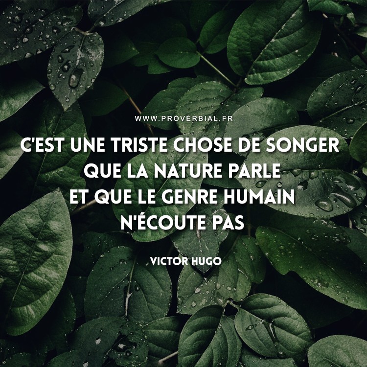 Citation De Victor Hugo 14 Octobre