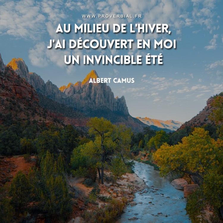 Citation De Albert Camus 21 Decembre