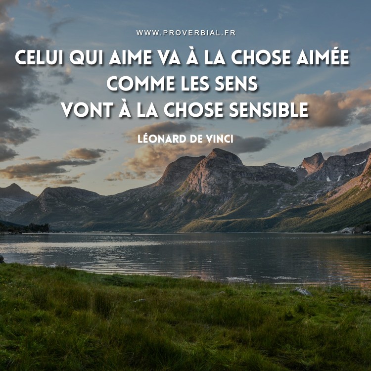 Citation De Leonard De Vinci 31 Decembre