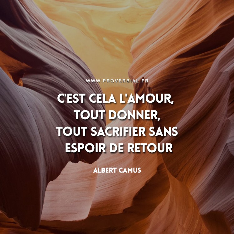 Citation De Albert Camus 30 Janvier 21
