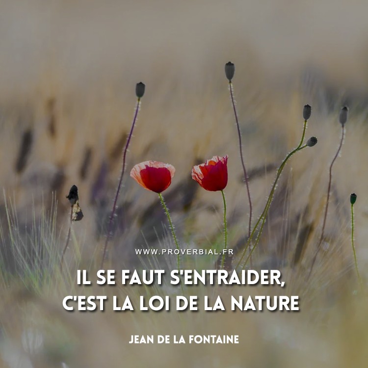 Citation de Jean De La Fontaine