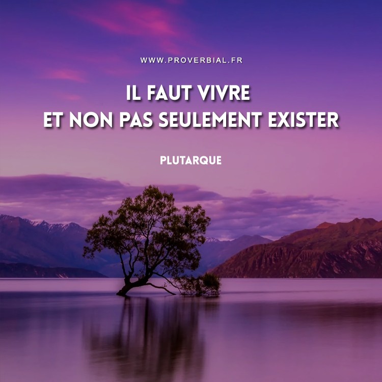 Citation De Plutarque 12 Avril 21