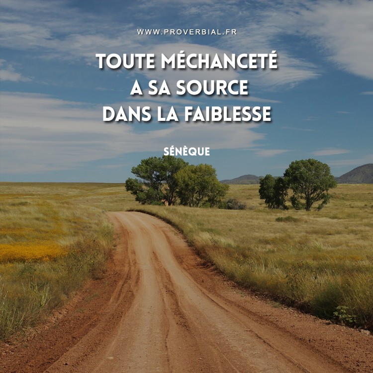 Citation De Seneque Sur La Mechancete Et La Faiblesse