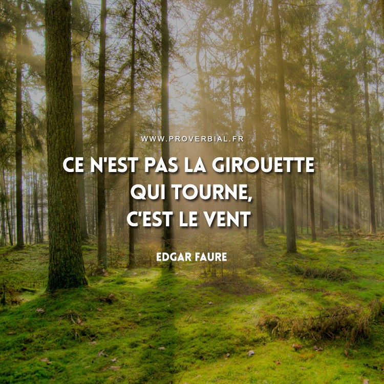 Citation D Edgar Faure Sur La Girouette Et Le Vent