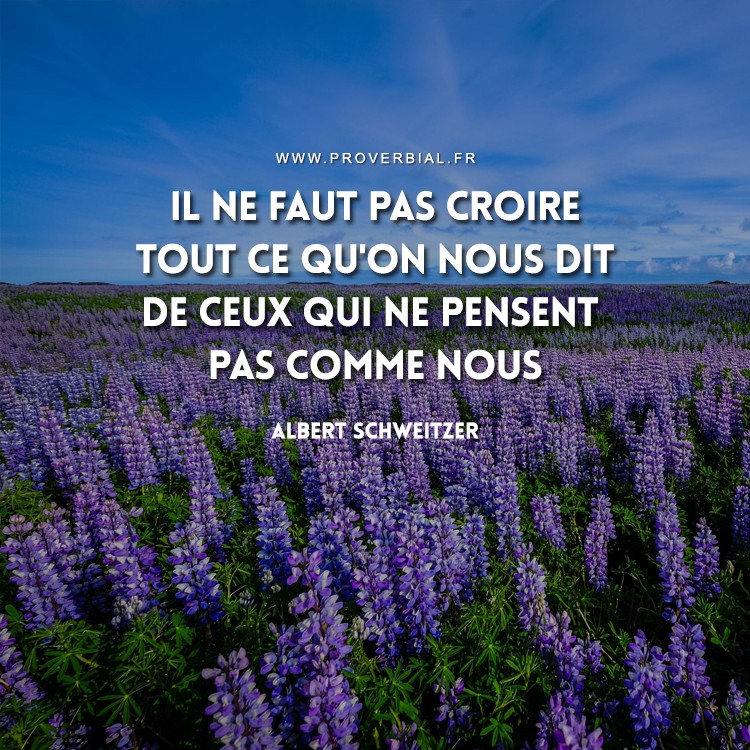 Citation D Albert Schweitzer