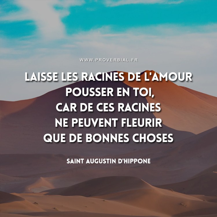Citation De Saint Augustin D Hippone