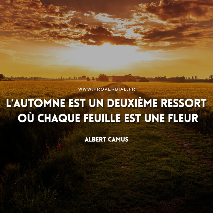 Citation d'Albert Camus sur l'automne