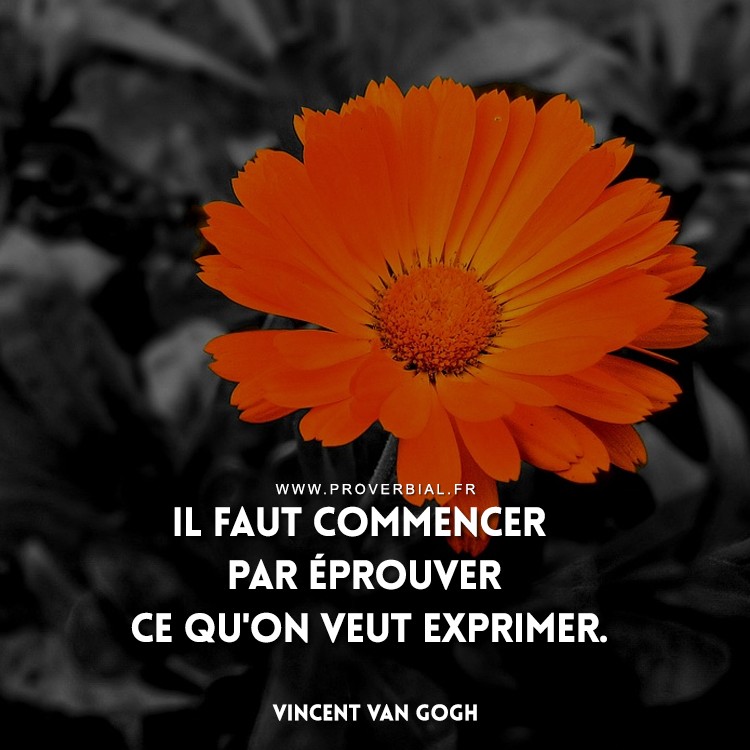 Citation de Vincent Van Gogh