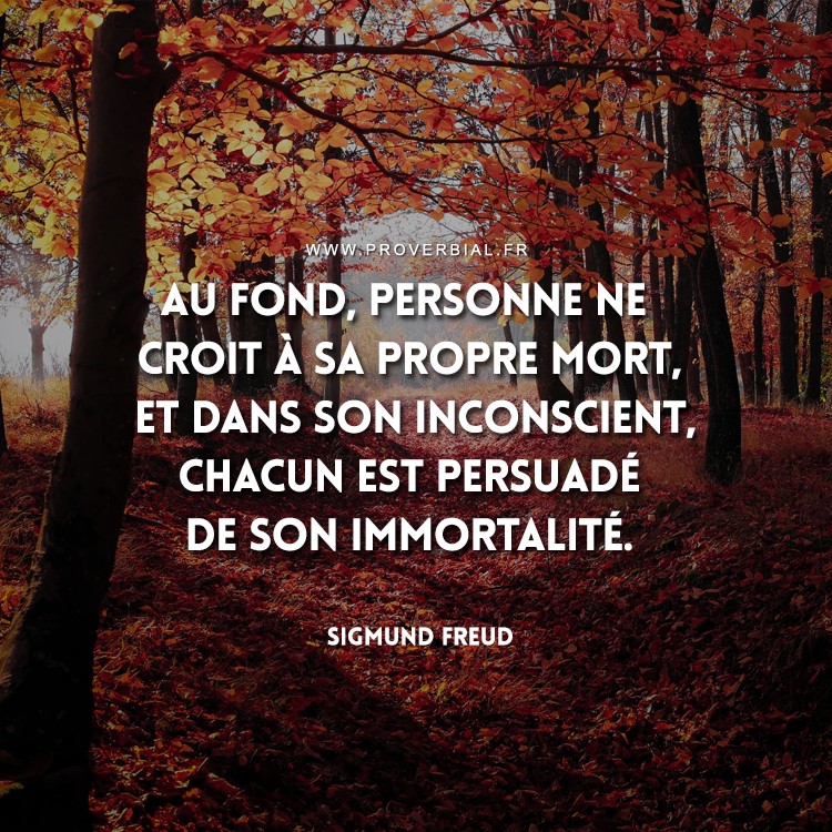 Citation De Sigmund Freud 10 Mai 18