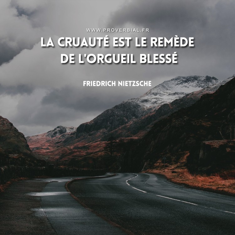 Citation de Friedrich Nietzsche