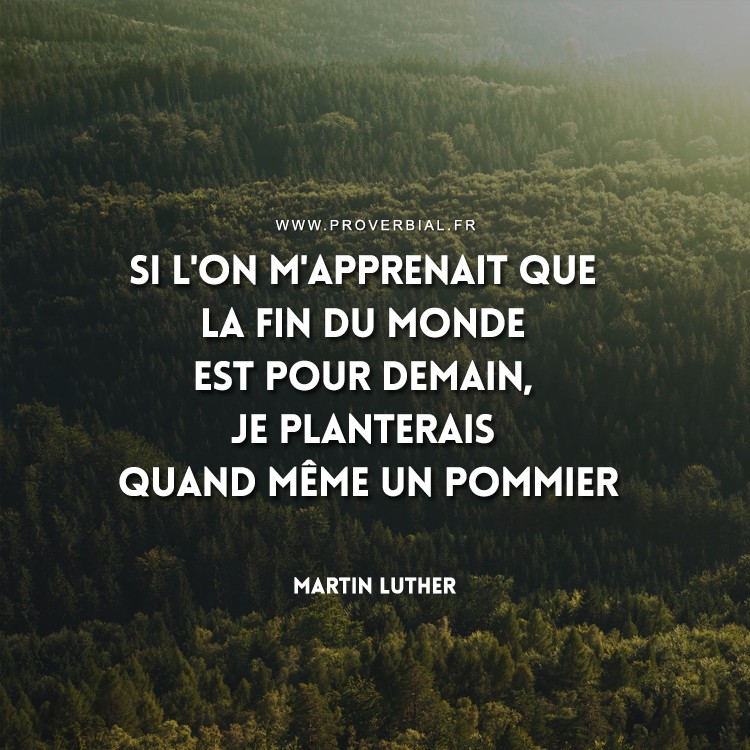 Citation De Martin Luther 12 Juillet 18